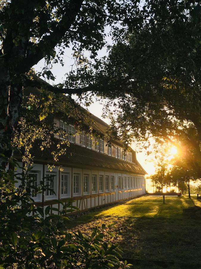 Hof Norderlueck - Das Ostseehotel Unter Reet Steinberg  Exterior photo